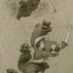 50